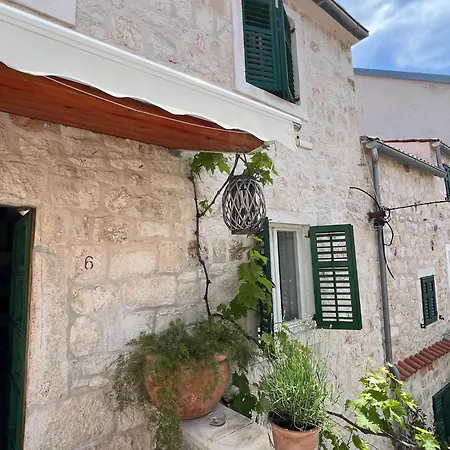 Dalmatera